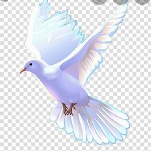 Meet your Posher, Grisel